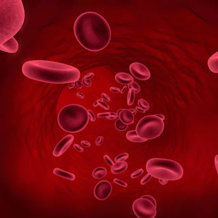 3. Rinforza il cuoio capelluto per la ricrescita